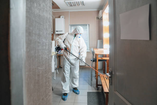 Professional Mold Removal in Lake Pocotopaug, CT