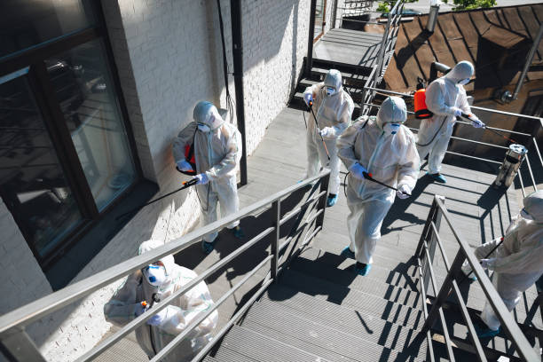 Best Commercial Mold Inspection  in Lake Pocotopaug, CT