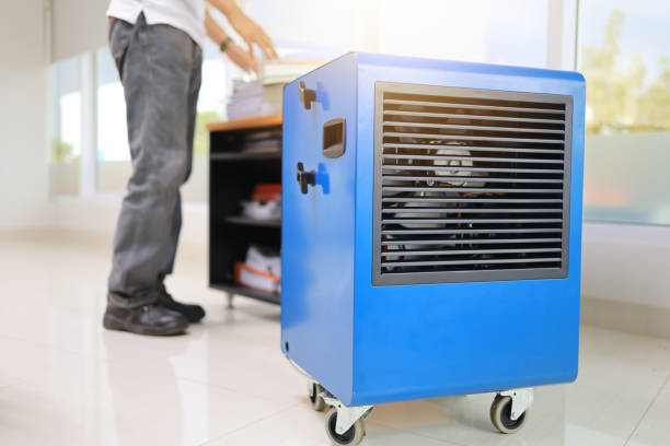 Best Comprehensive Air Testing for Mold Contaminants  in Lake Pocotopaug, CT