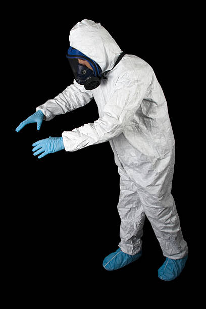 Best Attic Mold Removal  in Lake Pocotopaug, CT