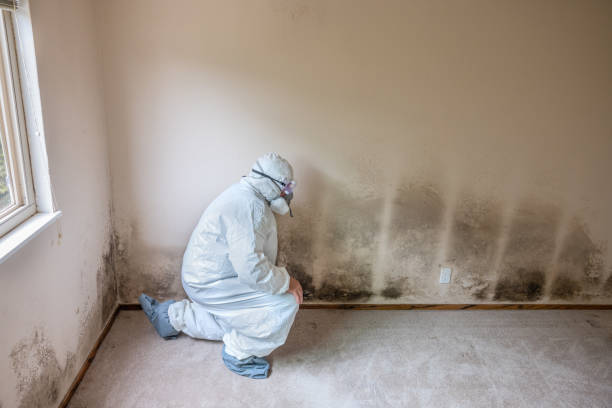 Biohazard Mold Removal in Lake Pocotopaug, CT