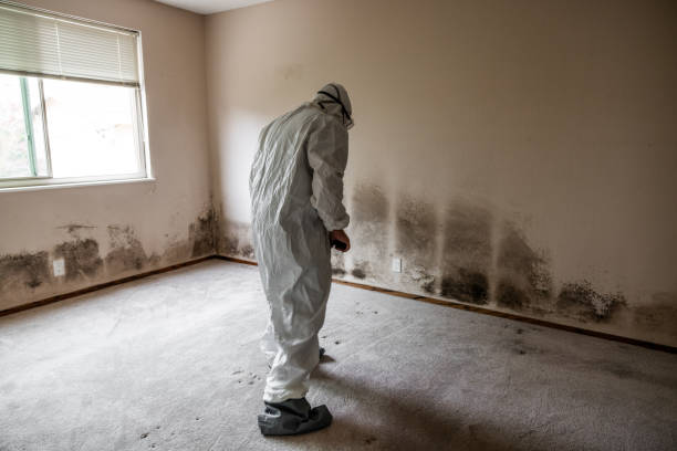 Best Airborne Mold Testing  in Lake Pocotopaug, CT